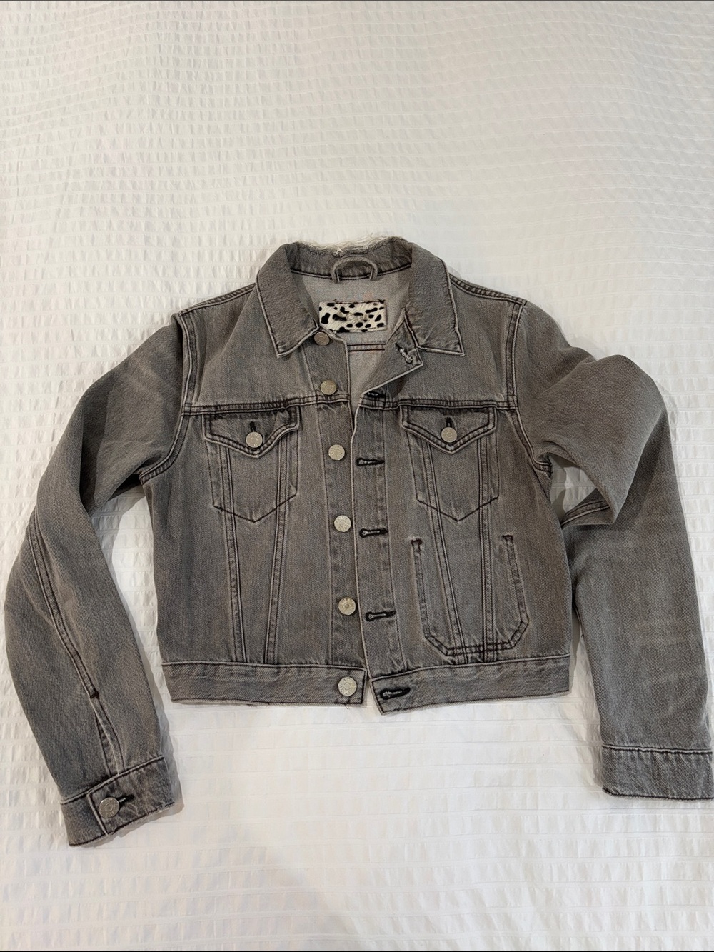 Acne Gray Denim Jean Jacket with Leopard Collar Accent